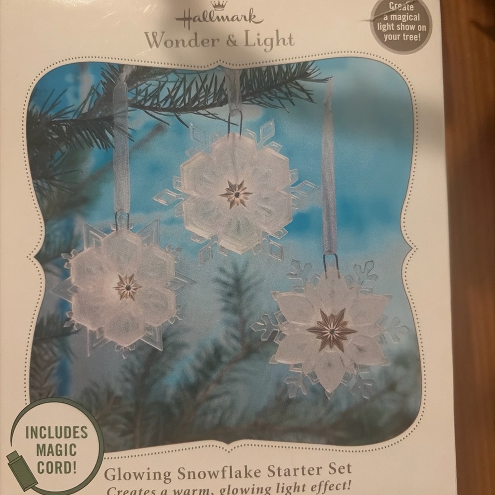 Hallmark Wonder & Light Snowflake Ornament Set - White and Silver